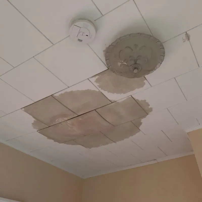 Ceiling Water Damage Repair in Waupaca County, WI