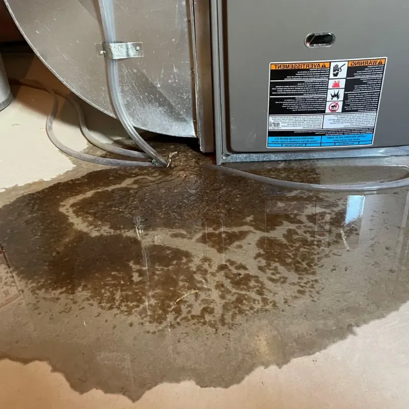 Pipe Burst and Leak Restoration in Waupaca County, WI