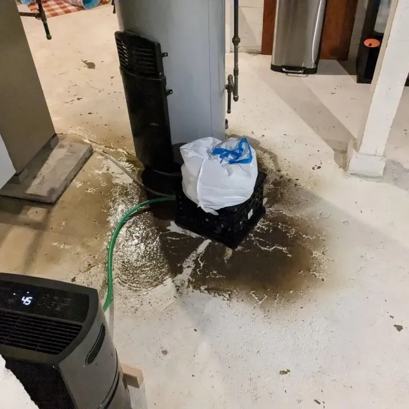 Sewage Backup Cleanup Service in Waupaca County, WI